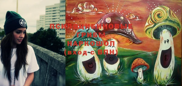 скорость Осинники
