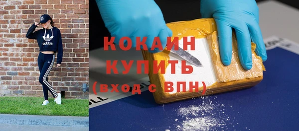 гашик Майский