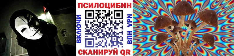 цены   Крымск  Галлюциногенные грибы мицелий 