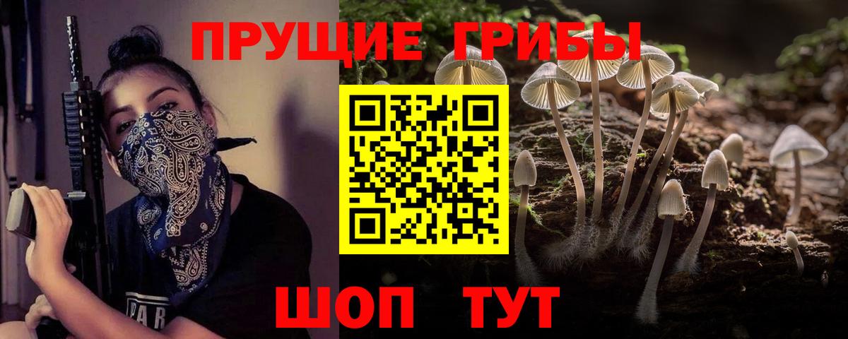 Галлюциногенные грибы Psilocybine cubensis  Галлюциногенные грибы мухоморы  Крымск  Вход с VPN 