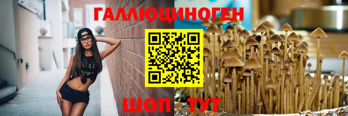 Галлюциногенные грибы GOLDEN TEACHER Крымск