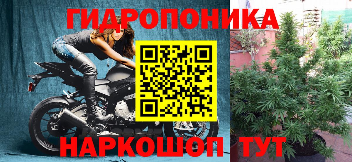 Марихуана индика  Шишки марихуана марихуана  Конопля VHQ  Крымск  Шишки марихуана LSD WEED 